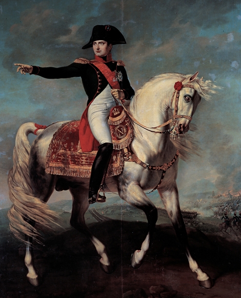 Napoleone sul campo di battaglia